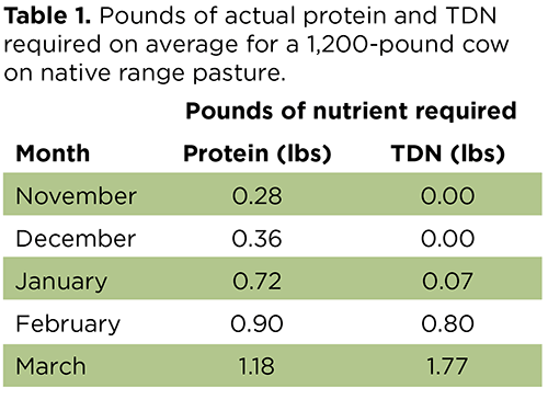 Table 1. Pounds of actual protein and TDN required on average for a 1,200-pound cow on native range pasture.