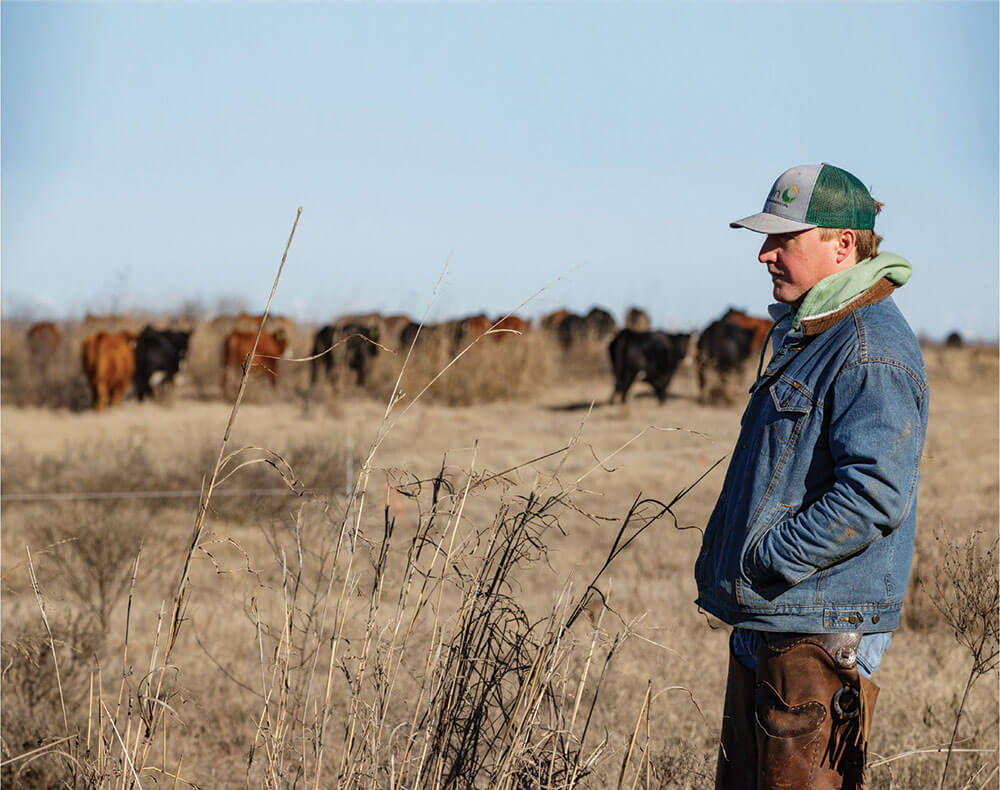 Brooks Braunagel watches cows