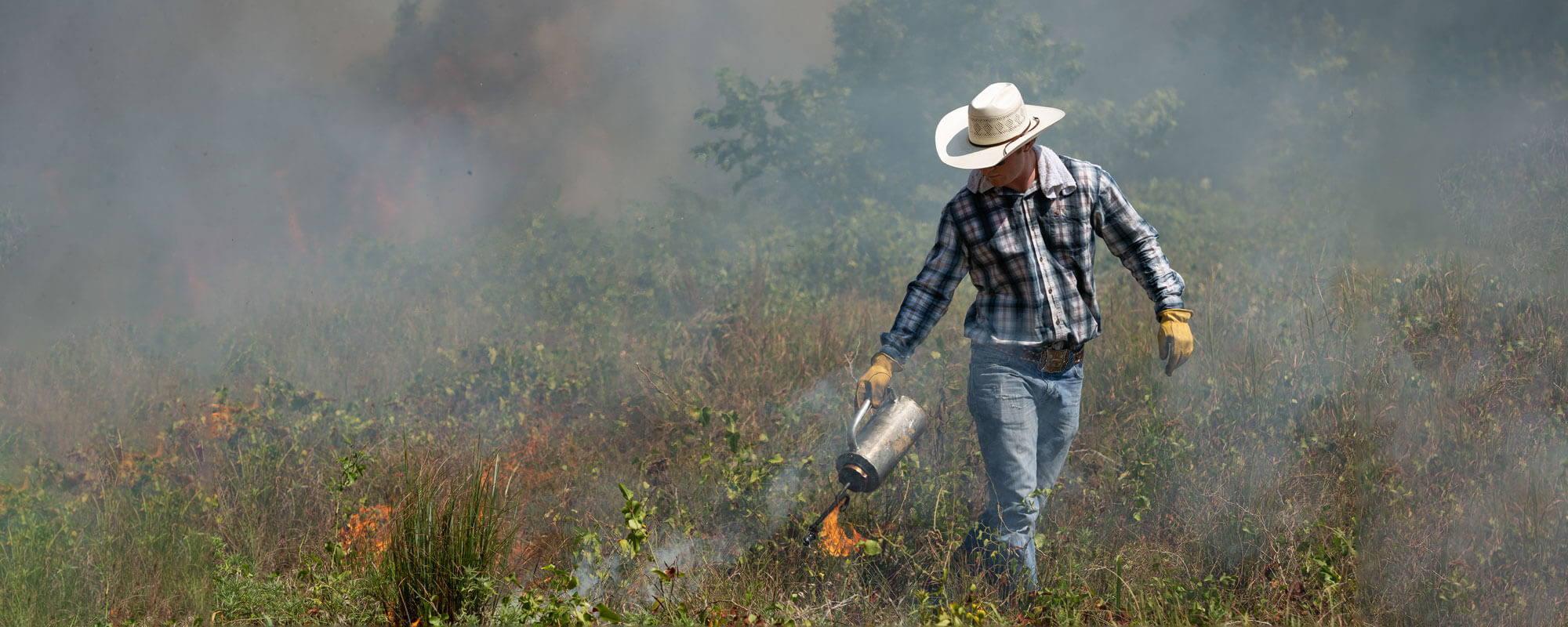 Rancher conducts prescribed burn