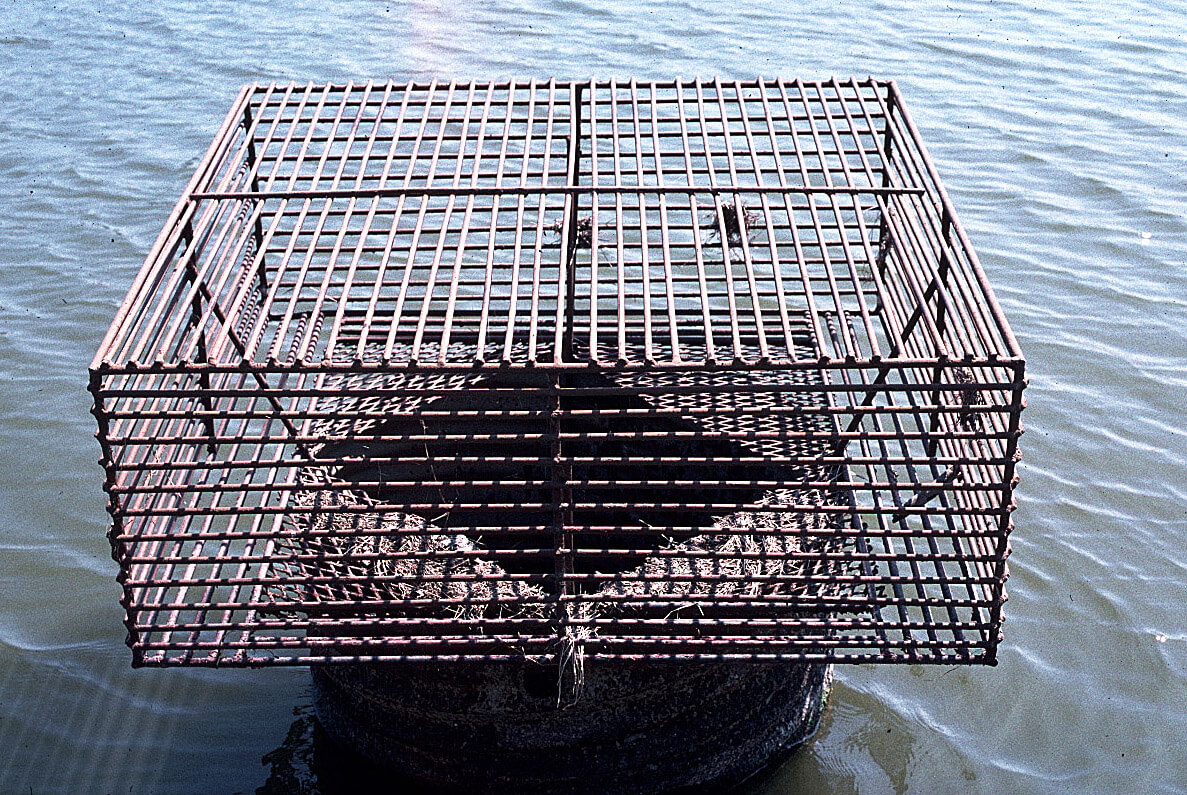 Figure 2. Box-type, parallel-bar barrier protecting
riser inlet overflow pipe at Bass Pond.