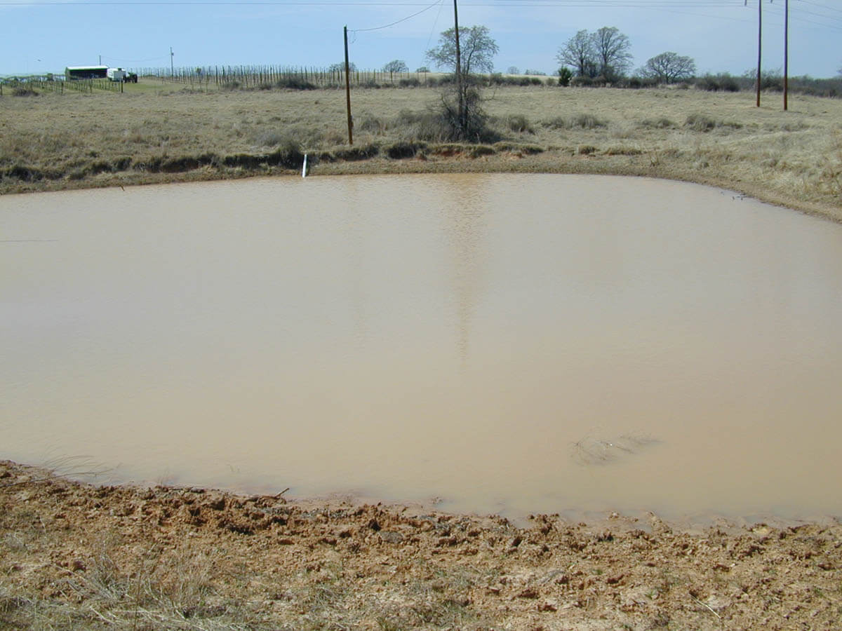 Many ponds have water quality problems due to soil erosion caused by a lack of vegetation around the
ponds.
