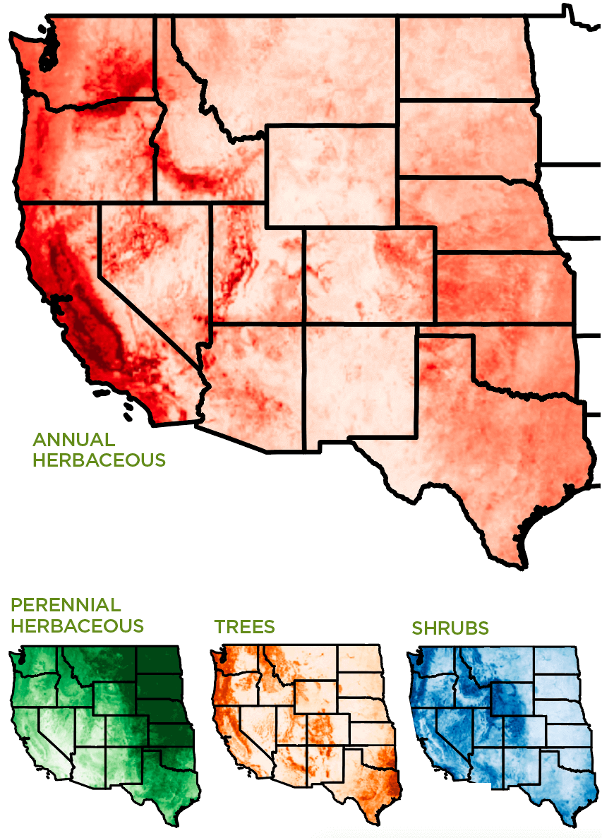 Color shaded maps showing different types of vegetation cover: Annual Herbaceous, Perennial Herbaceous, Trees, and Shrubs