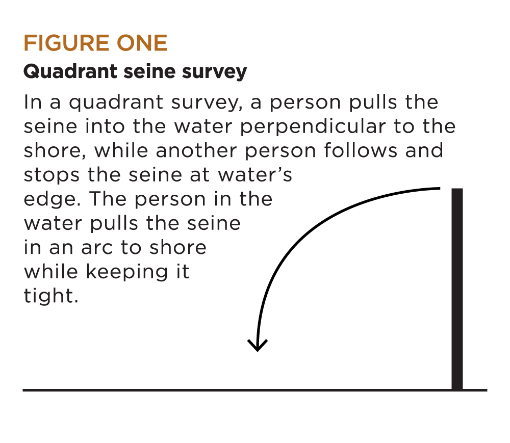 Figure 1: quadrant seine survey