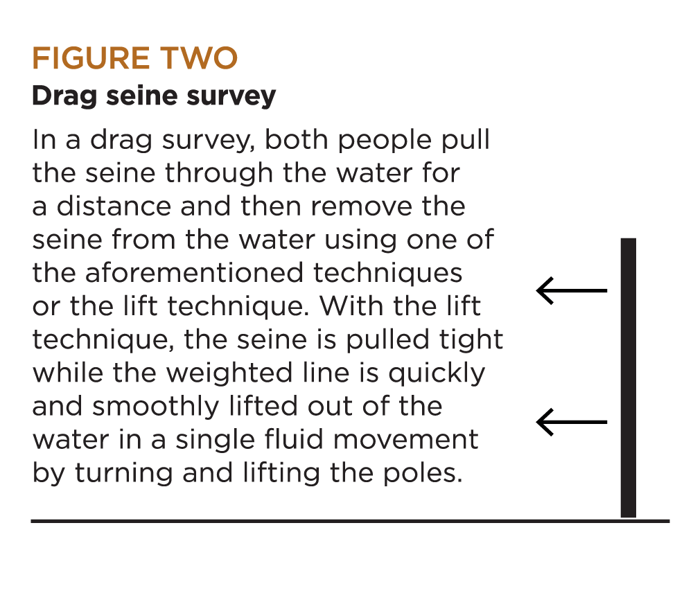 Figure two: drag seine survey