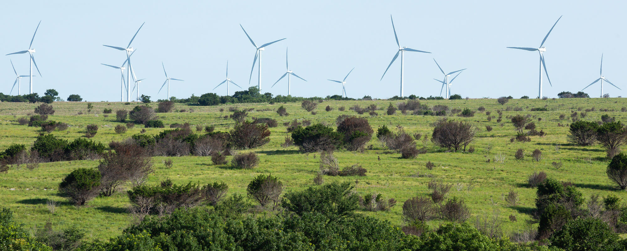 Rangeland with windmills