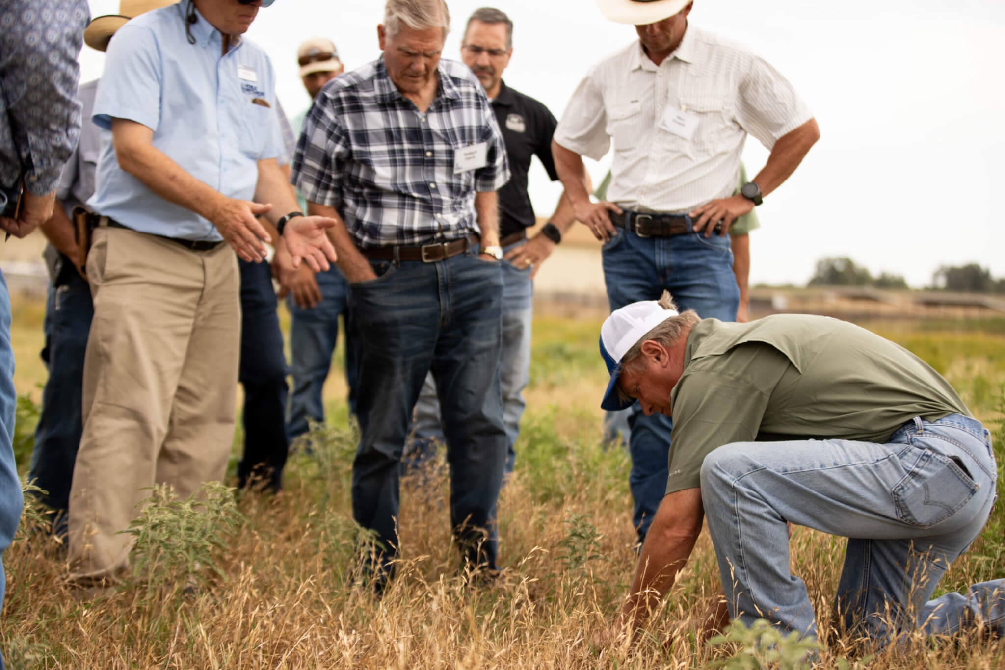 Noble Research Institute course facilitator Mike Porter conducts a hands-on session in the field to with course participants to demonstrate regenerative principles and practices. 