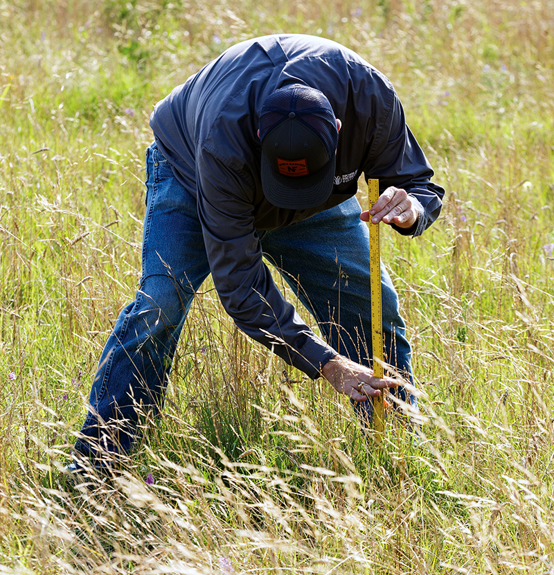 calculate forage density