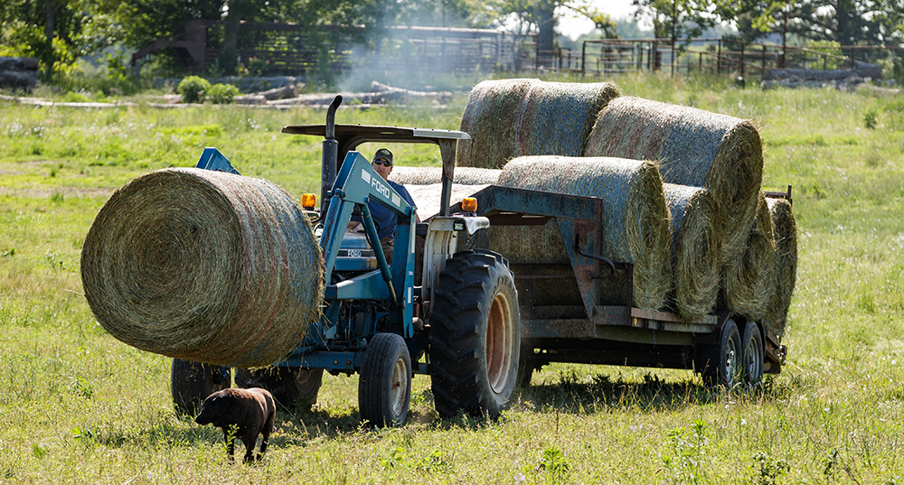 planning and placing hay