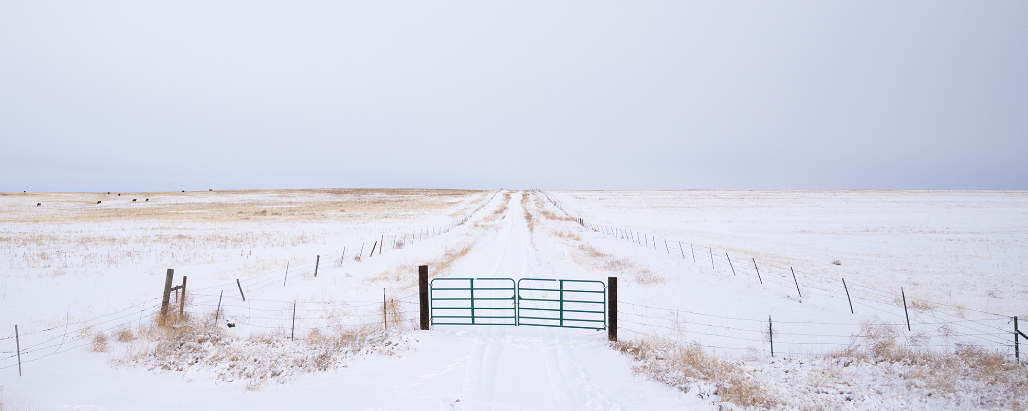 5 Ways To Prepare for Winter on Your Regenerative Ranch