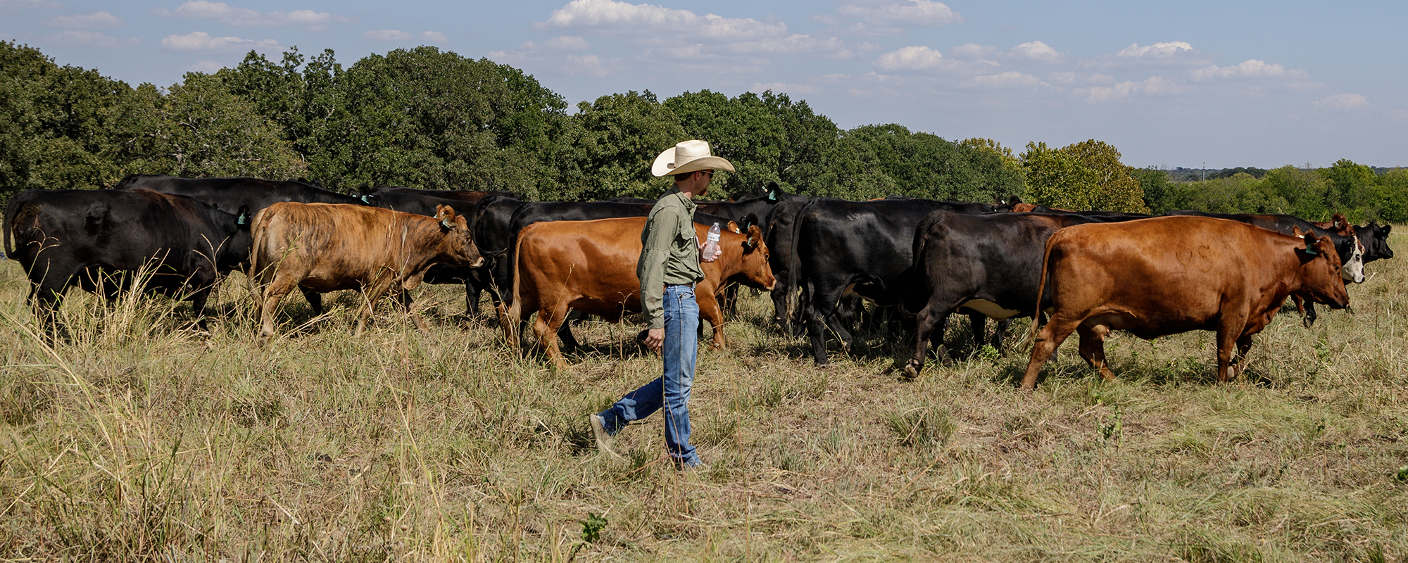 Get out of ‘defense mode’ with your next grazing plan