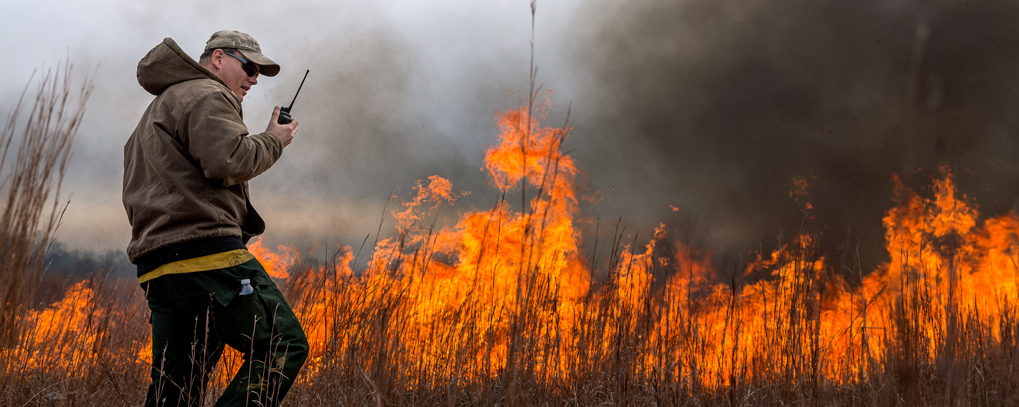 Why You Should Consider Prescribed Burning Throughout the Year