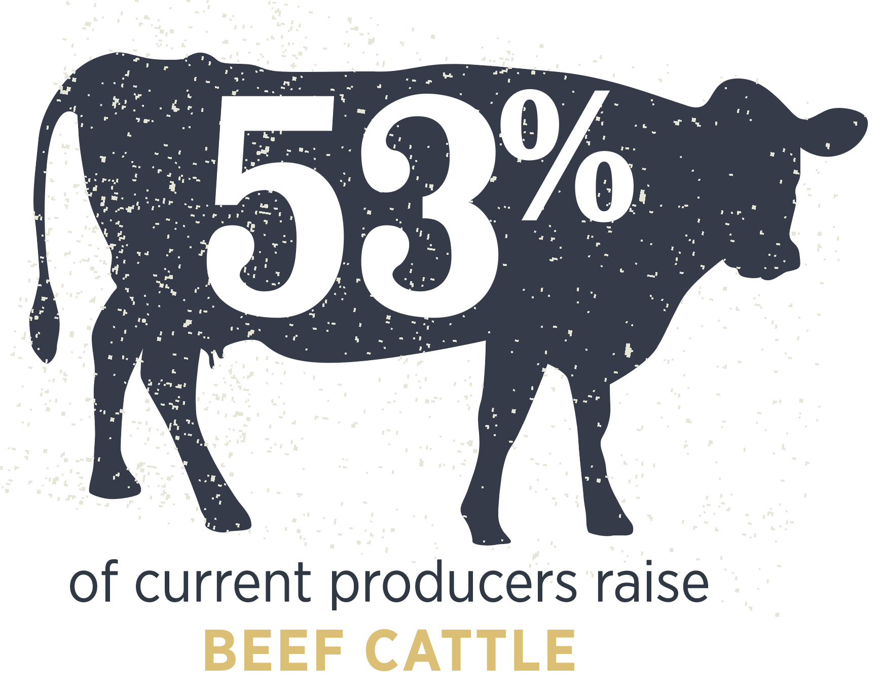 53% of current producers raise beef cattle. 53% of current producers raise beef cattle.