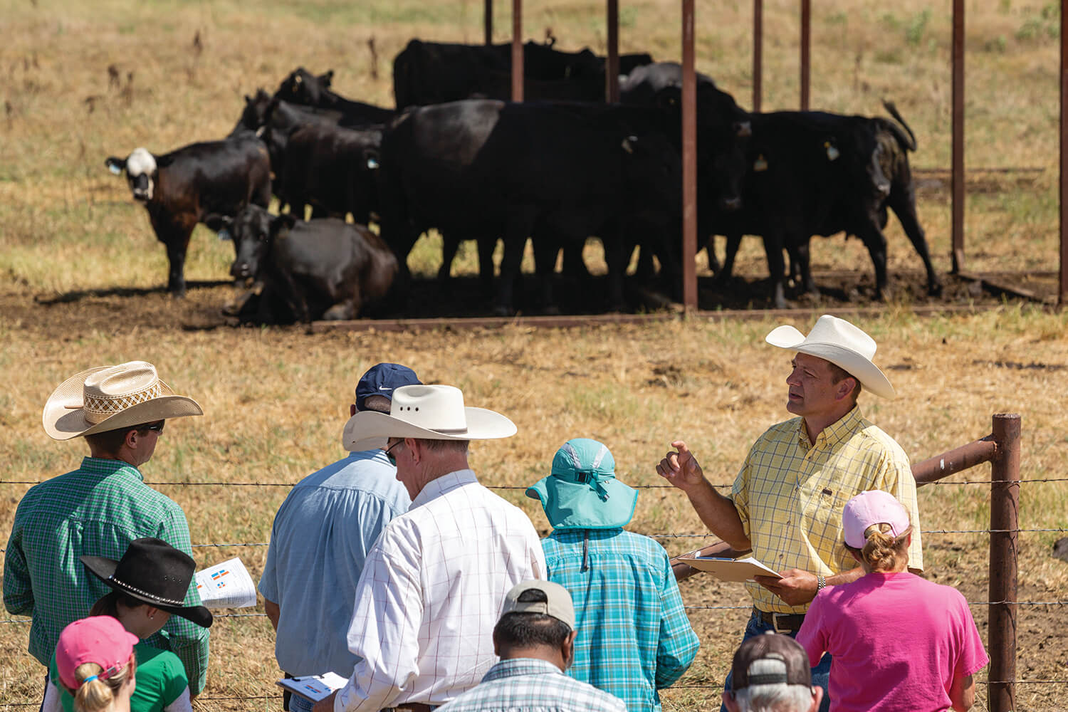 A group participates in a training