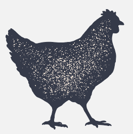 Chicken Chicken