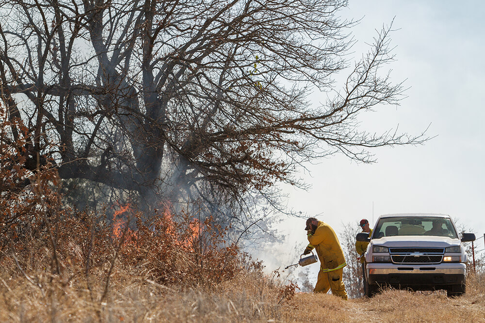 Conducting a prescribed burn on brush