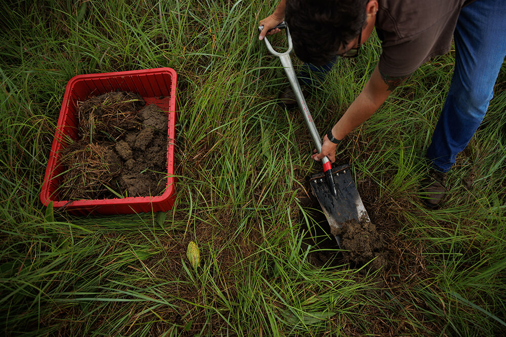 Digging a hole in the soil
