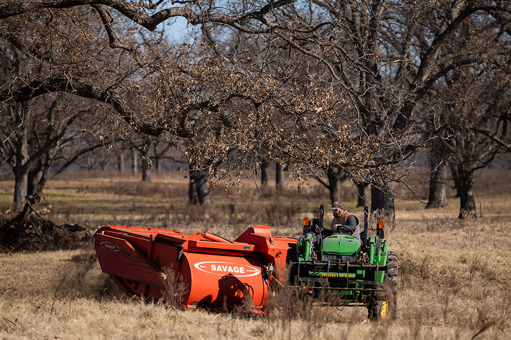 Pecan producer harvesting pecans in autumn