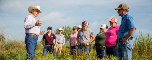Glossary of Common Terms in Regenerative Agriculture thumb