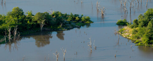 Regenerative Ranching Runs Downstream thumb