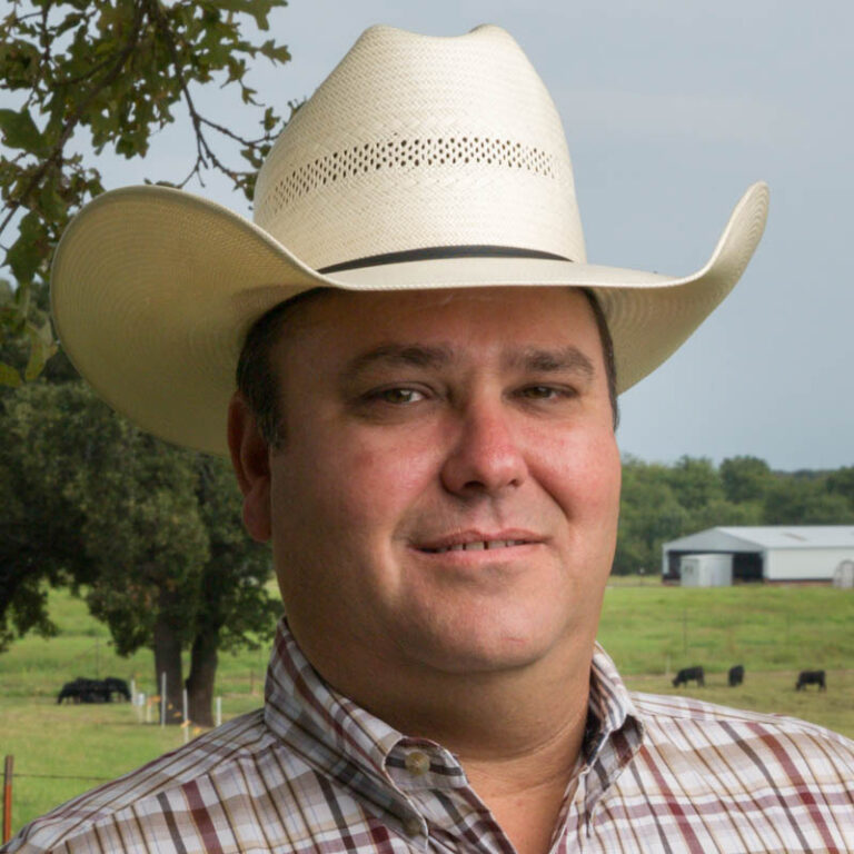 How to Properly Manage Your Bulls for a Successful Breeding Season