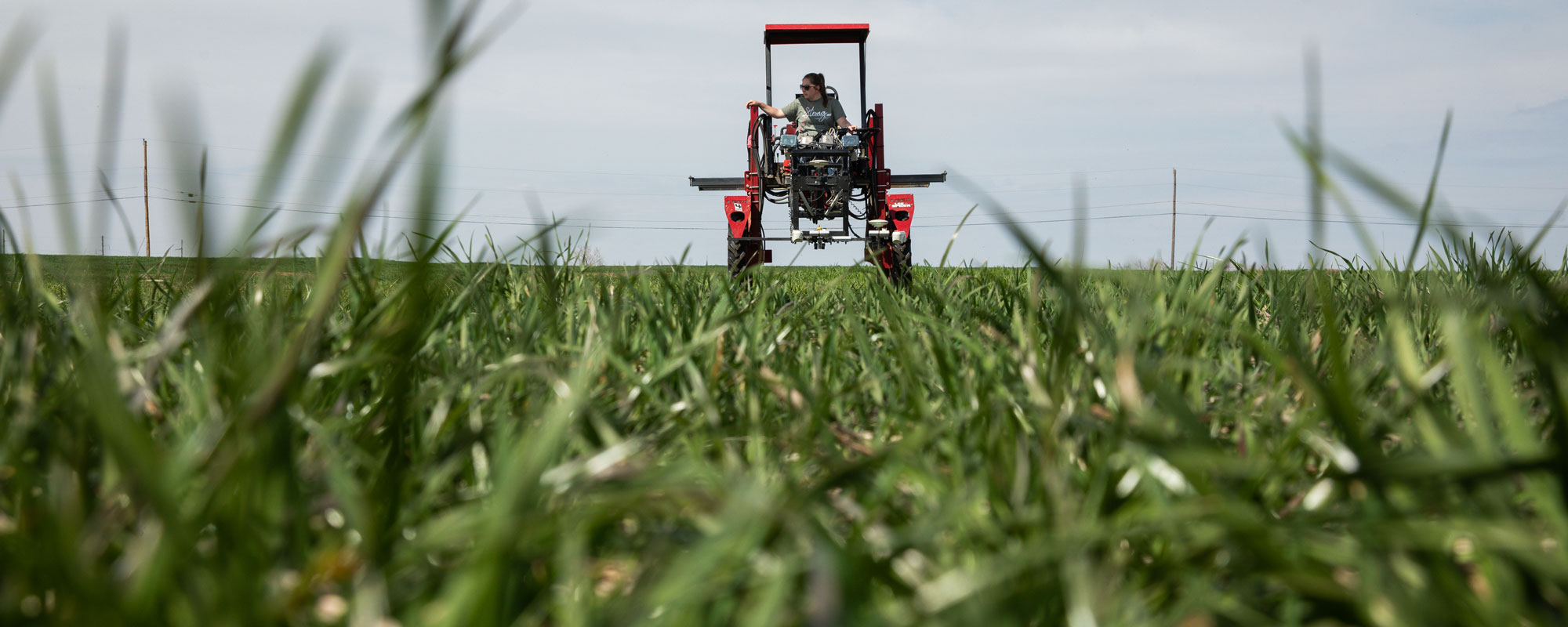 Sensing the Soil
