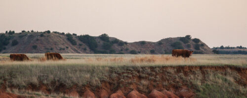Soil Erosion: Preventing Another Dust Bowl thumb