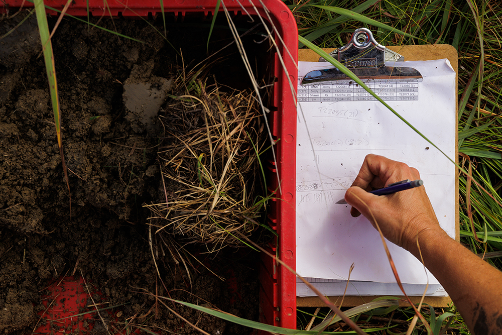 testing soil