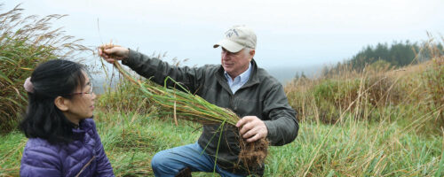 Learning to Grow Pastures and Profit thumb