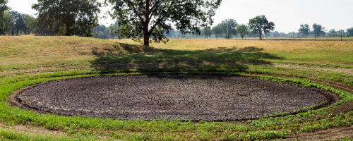 Wildlife Management Issues During Drought thumb