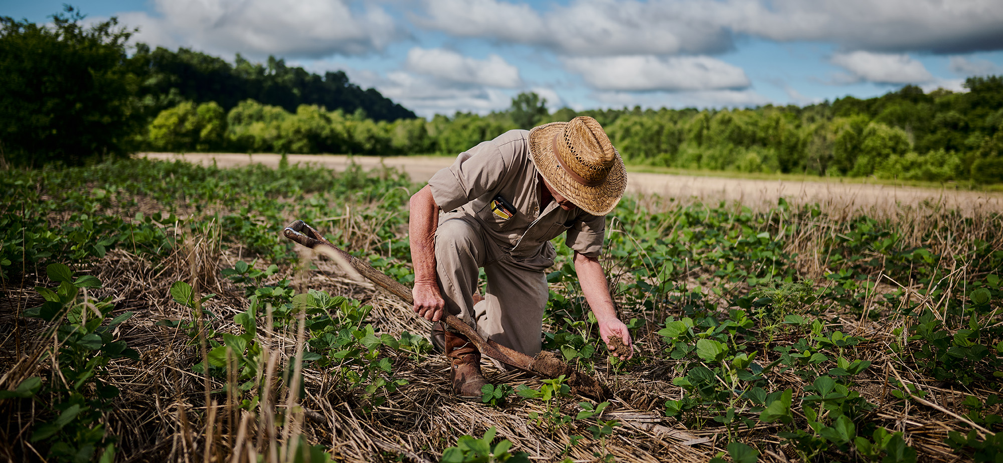 checking soil