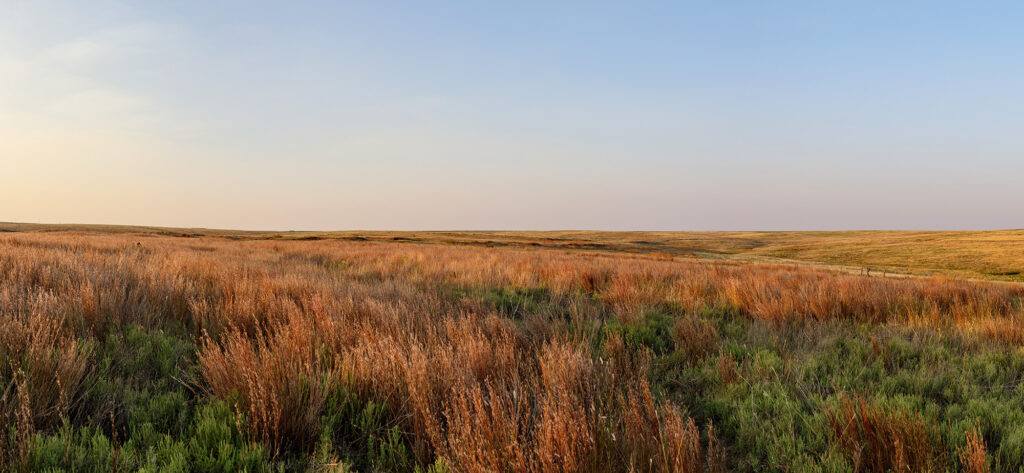 sunset over landscape