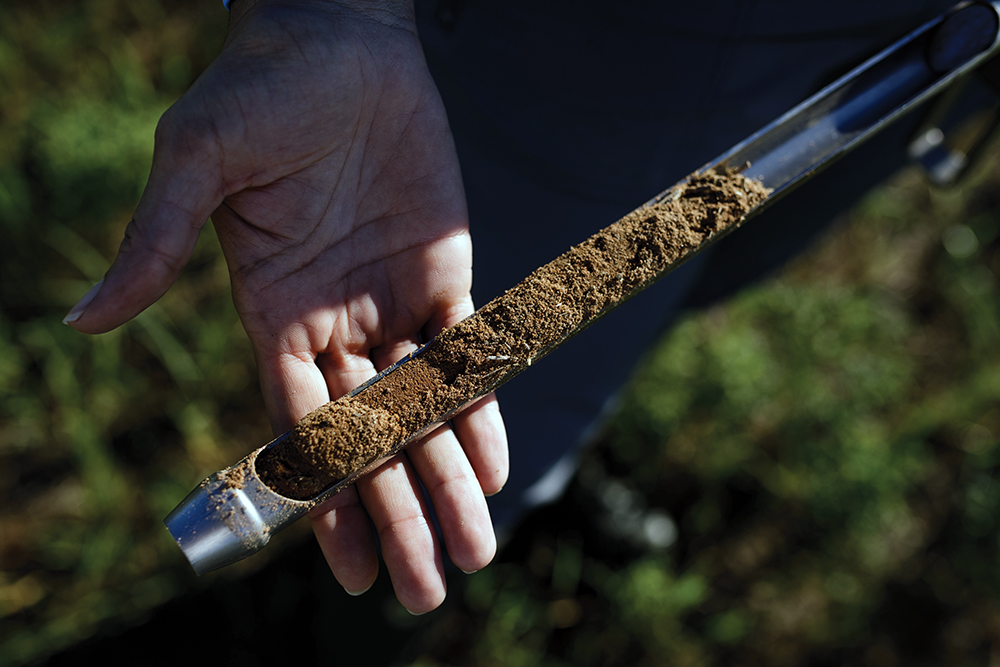 soil core sample