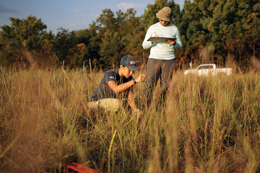 research in field