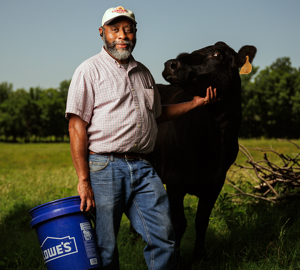 Phil Campbell next to cow