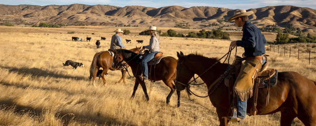 ranch management