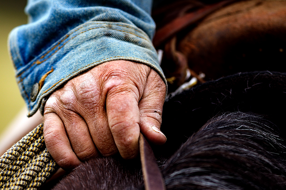 weathered hand of man on horse