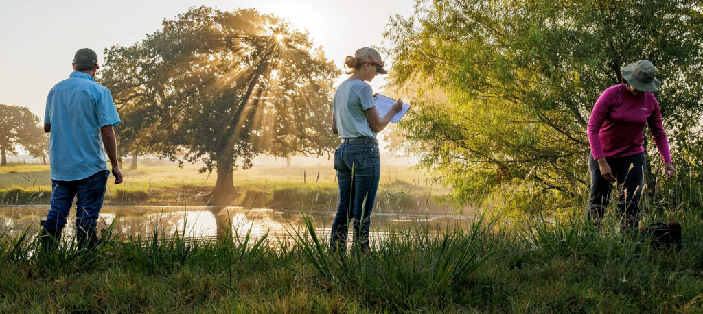 research in field