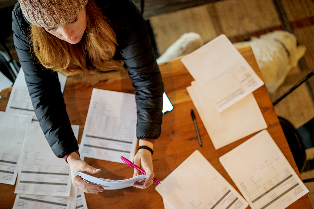 organize paperwork