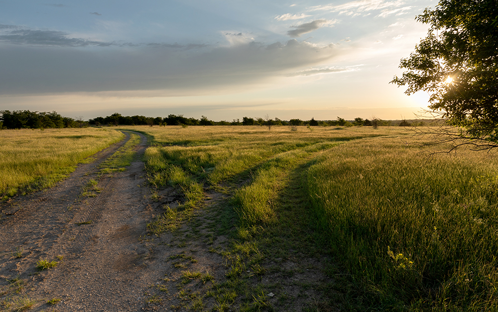 pasture with road