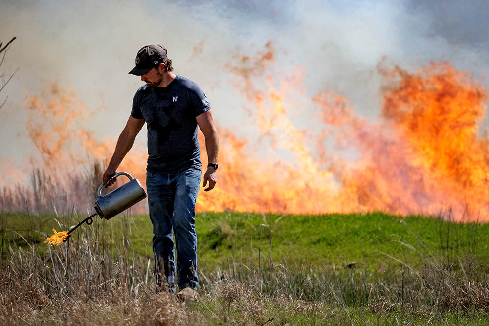 prescribed burn
