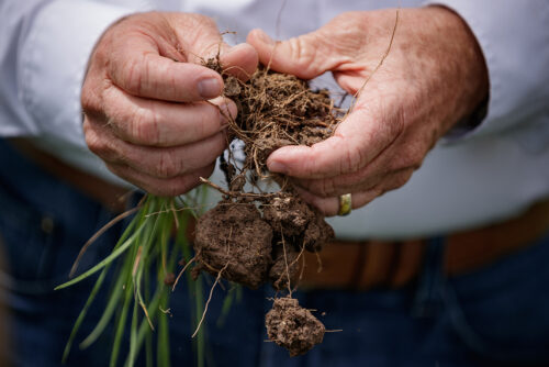 soil testing