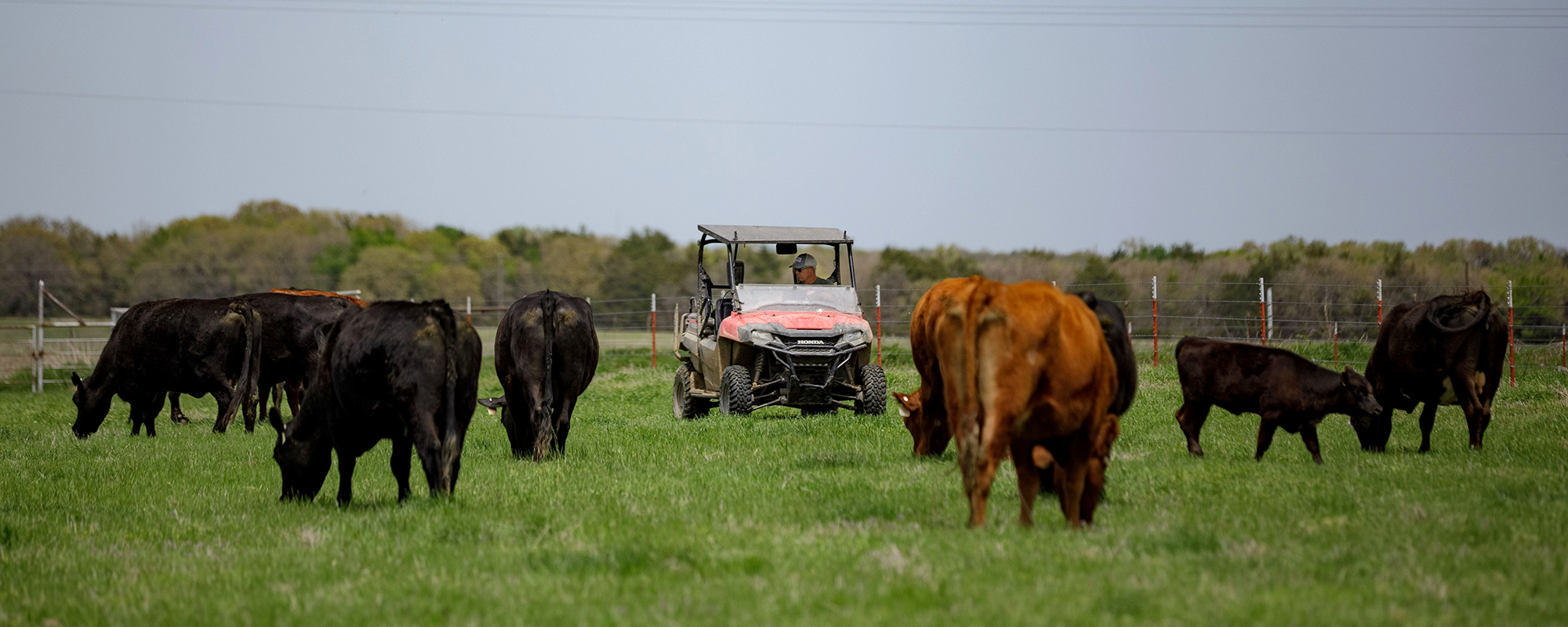 10 Simple Ways to Increase Profit on Your Ranch – Noble Research Institute