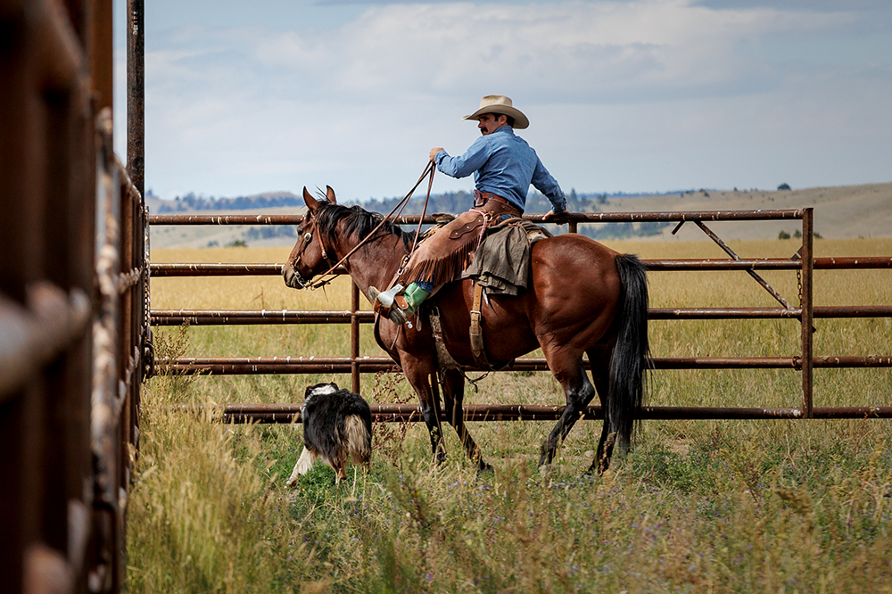 Rancher on horse