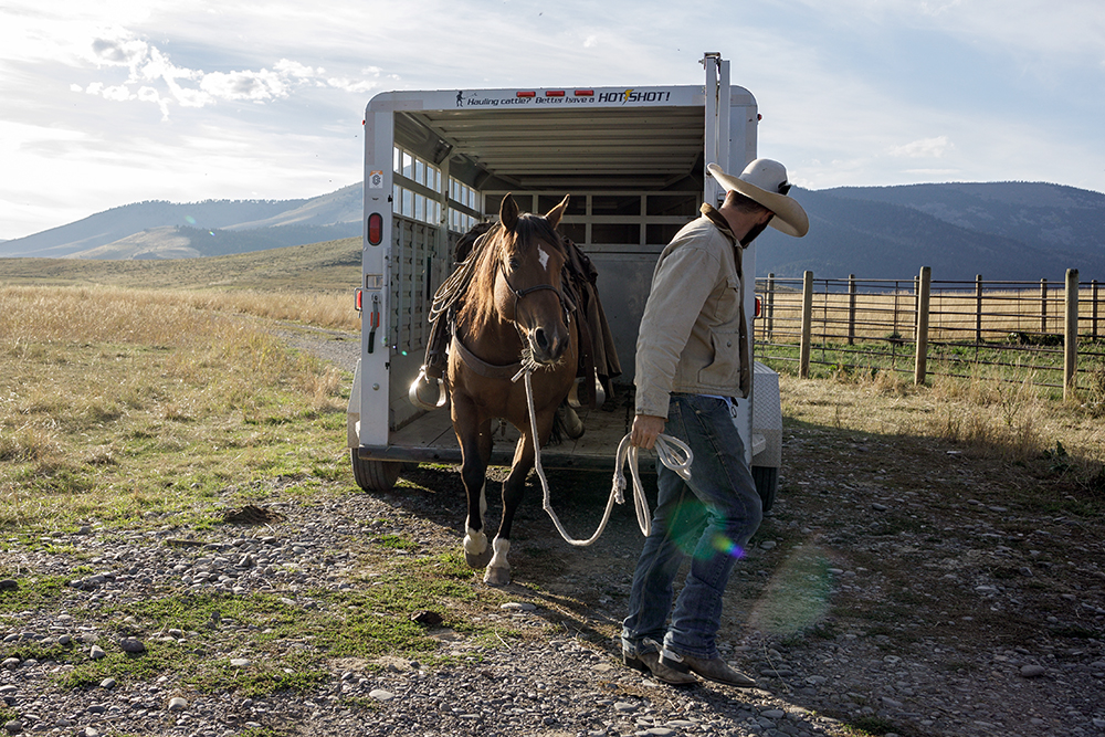 rancher unloading horse