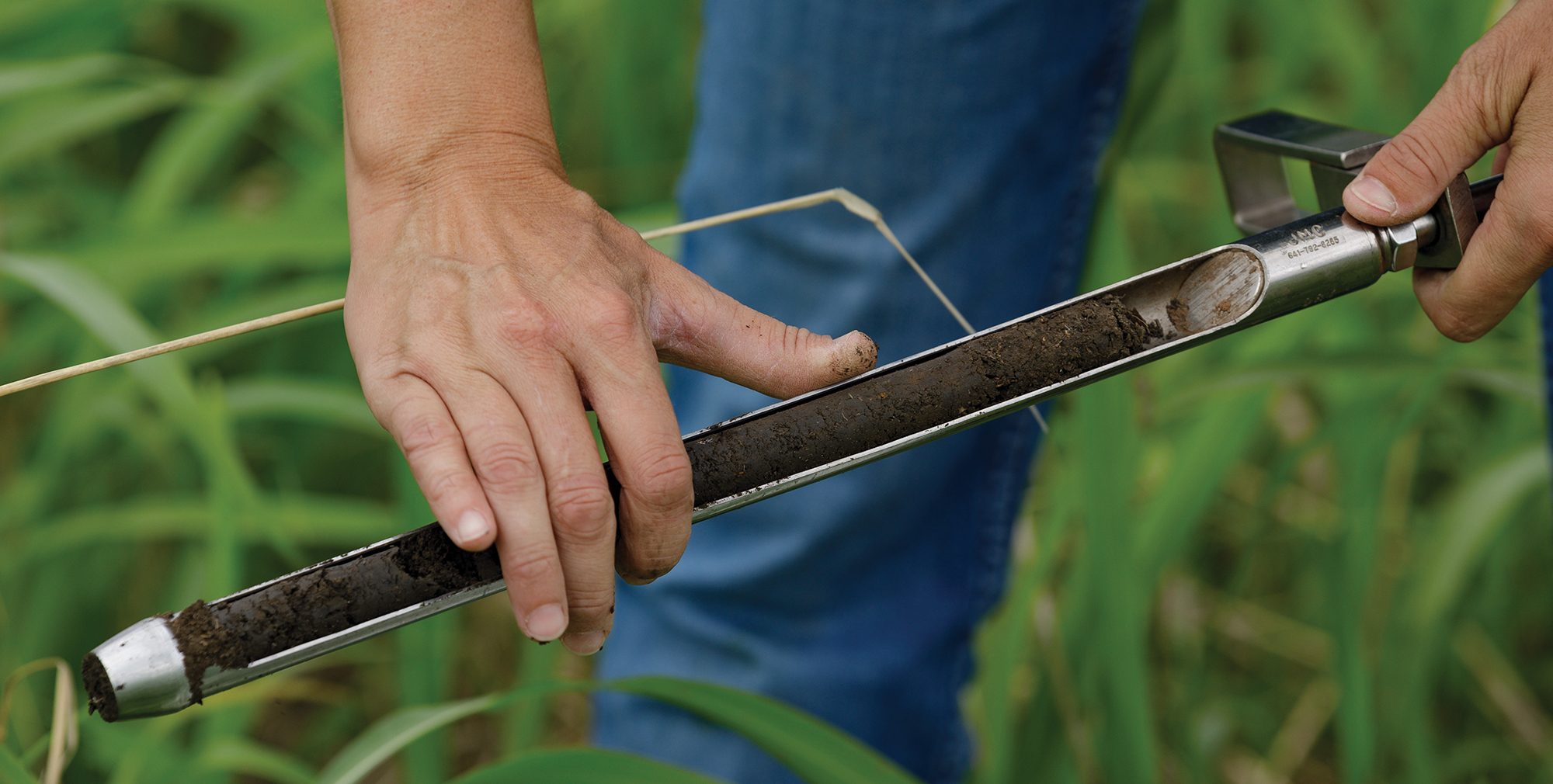Connecting Field Observation and Soil Test Results