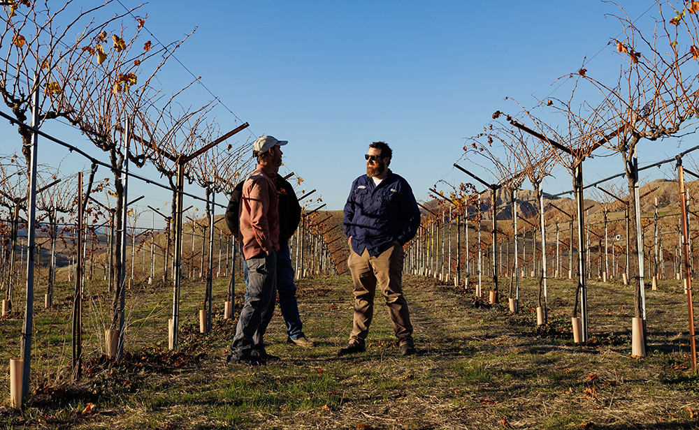 consultation visit in vinyard