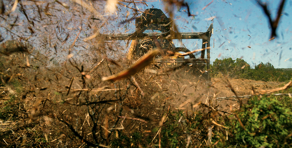 Mulch Pecan Orchards with Limb Trimmings