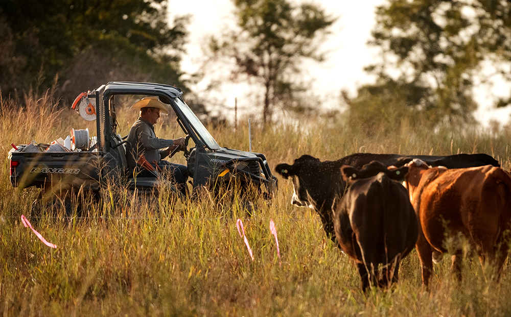 Regenerative Rancher