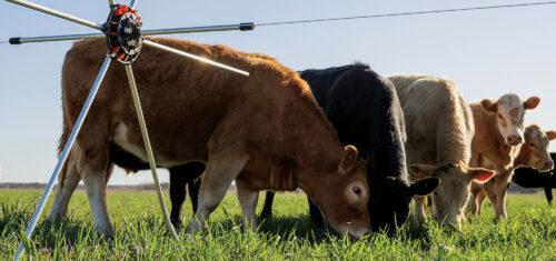 Tools of the Trade thumb