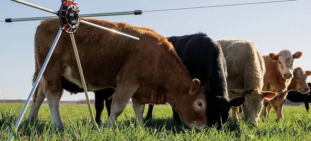 Tools of the Trade article